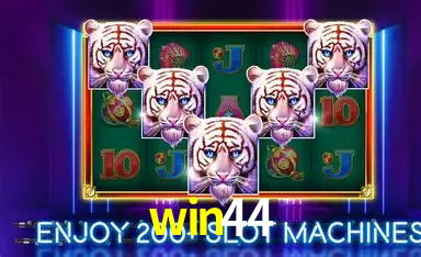 Cassino ao vivo da win44 com dealers reais